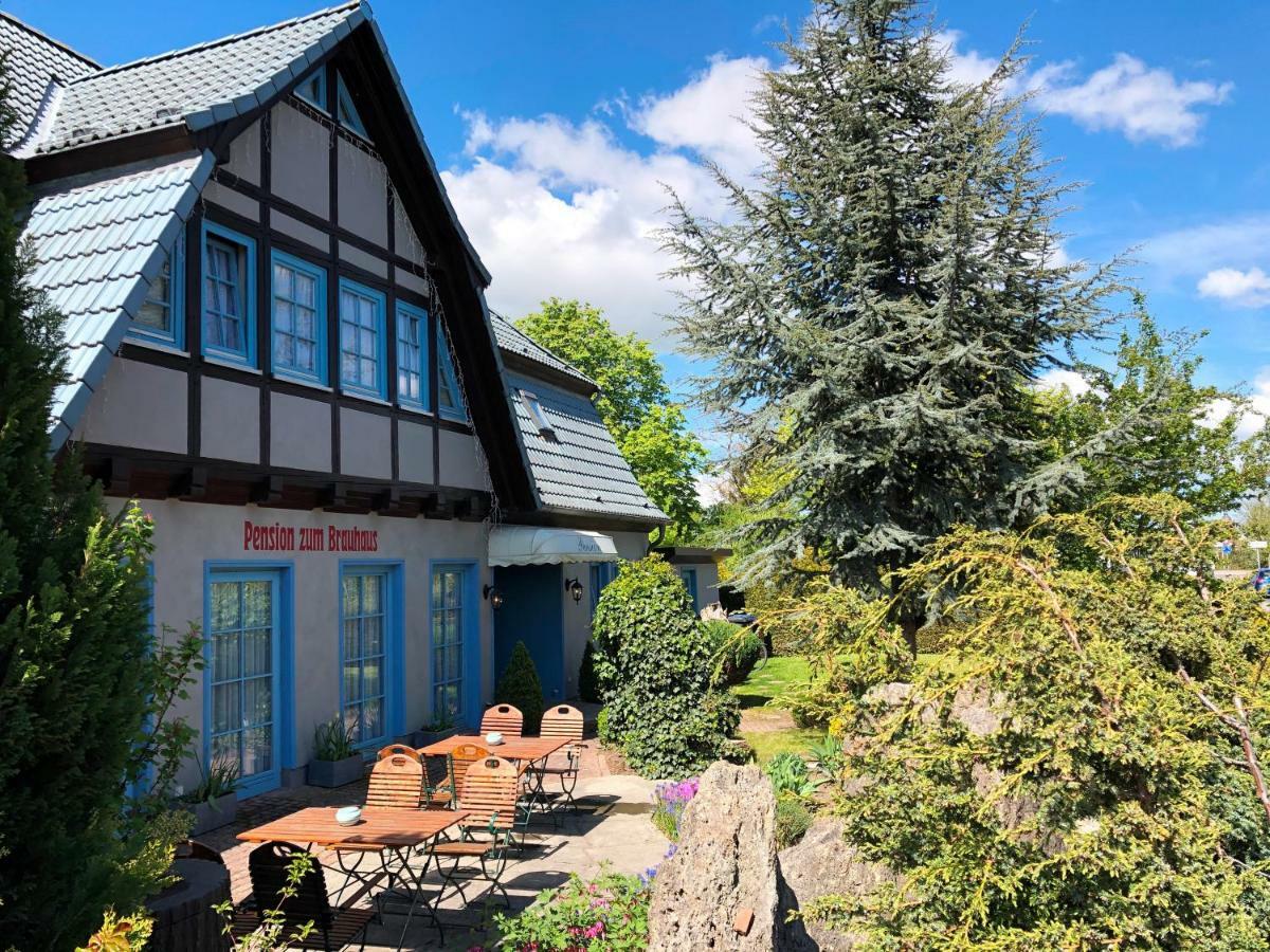 Pension Zum Brauhaus Штральзунд Экстерьер фото